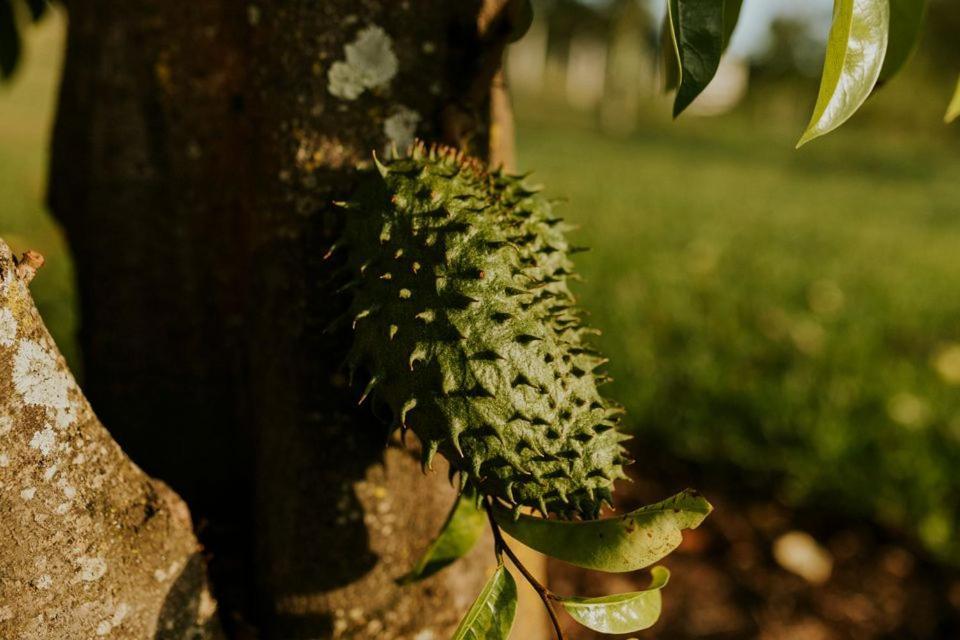 Eit Eco Inteligente Villa Alto Paraiso de Goias Luaran gambar