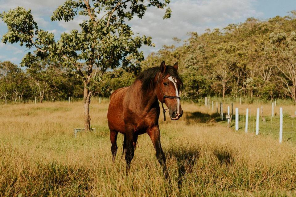 Eit Eco Inteligente Villa Alto Paraiso de Goias Luaran gambar