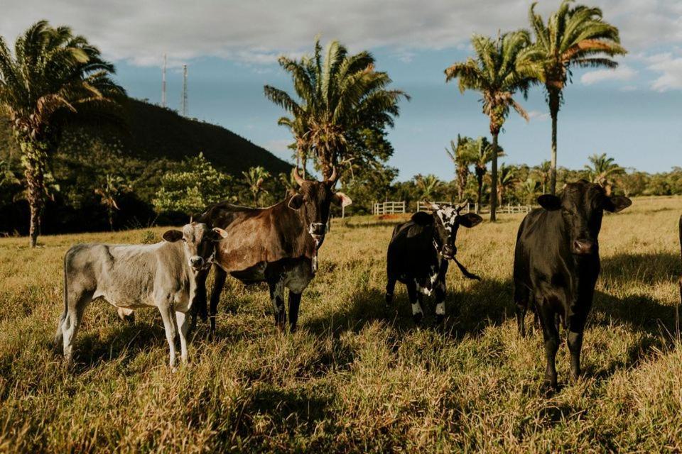 Eit Eco Inteligente Villa Alto Paraiso de Goias Luaran gambar